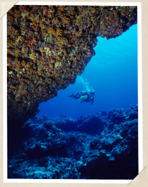 Underwater Scuba Diving