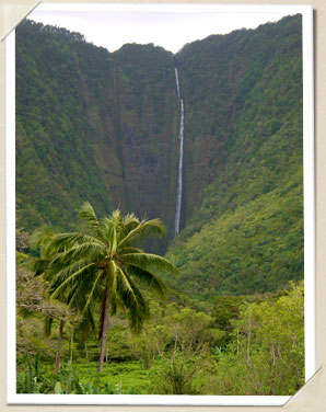 Waterfall in Waipio Valley