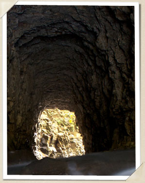 Lava Tube North Hilo